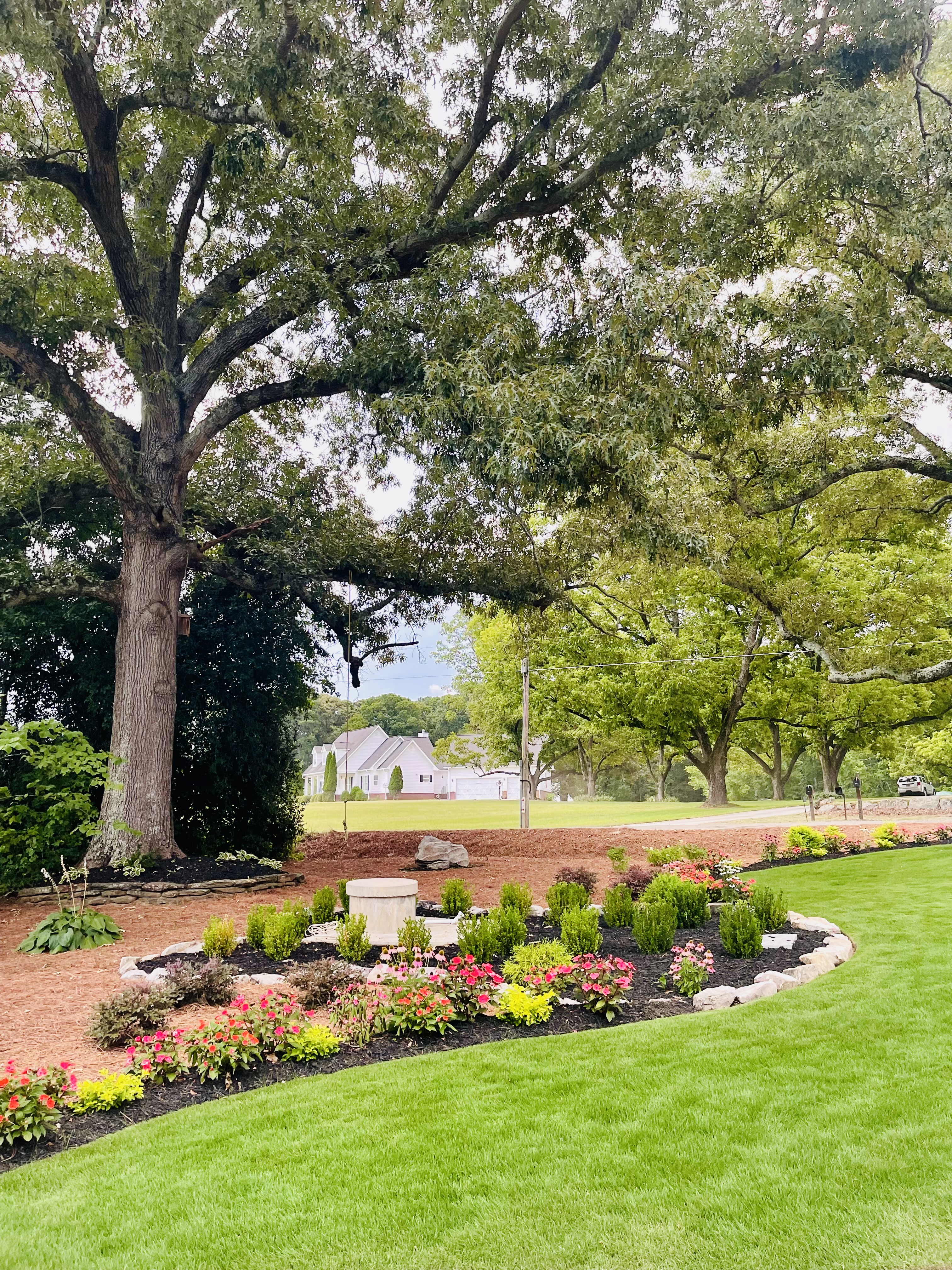 Professional landscape installation